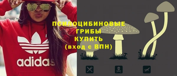 Альфа ПВП Каменногорск