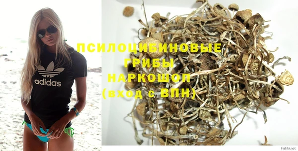 mdpv Каменка