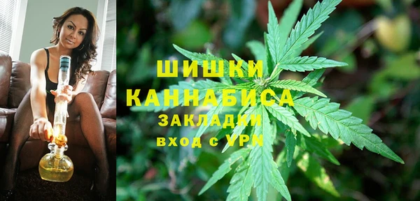 mdpv Каменка