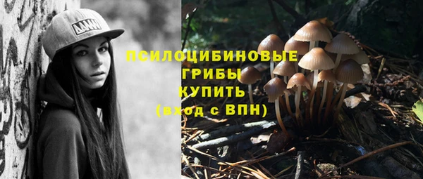a pvp Каменск-Шахтинский