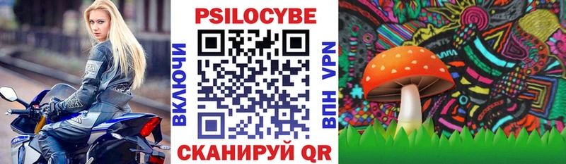 Галлюциногенные грибы Cubensis  Купить где  Благодарный 